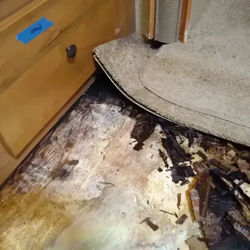 Best Wood Floor Water Damage Service in Grandview Plaza, KS